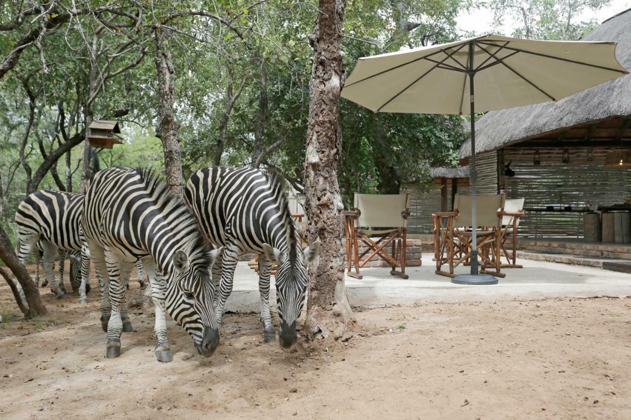 Tusk Bush Lodge Marloth Park Exterior photo