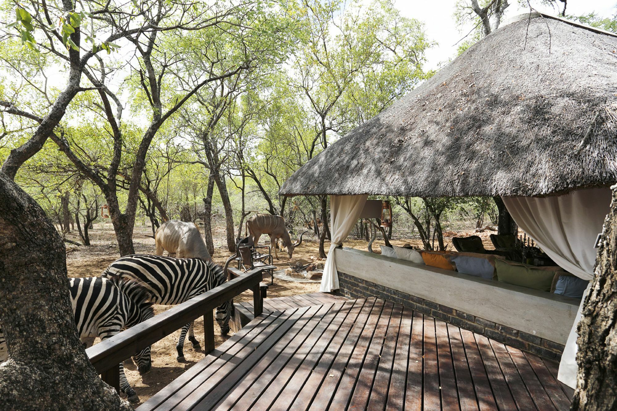 Tusk Bush Lodge Marloth Park Exterior photo