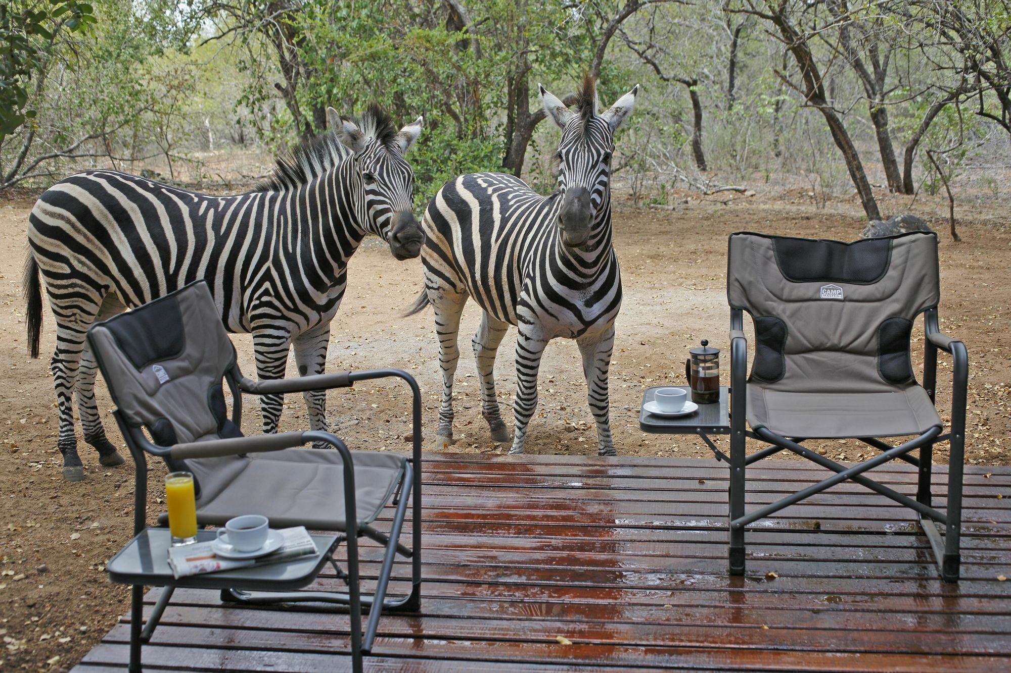 Tusk Bush Lodge Marloth Park Exterior photo