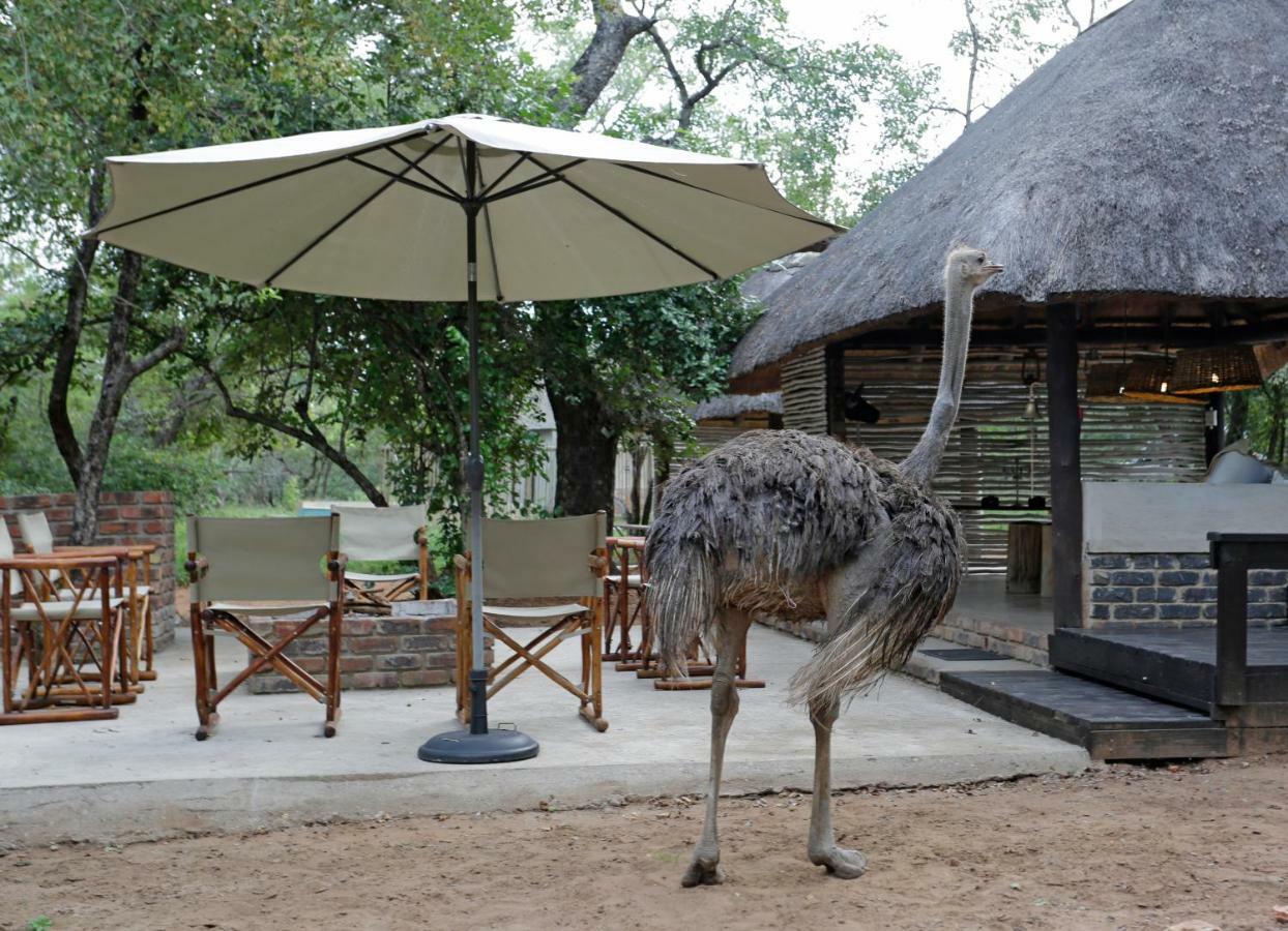 Tusk Bush Lodge Marloth Park Exterior photo