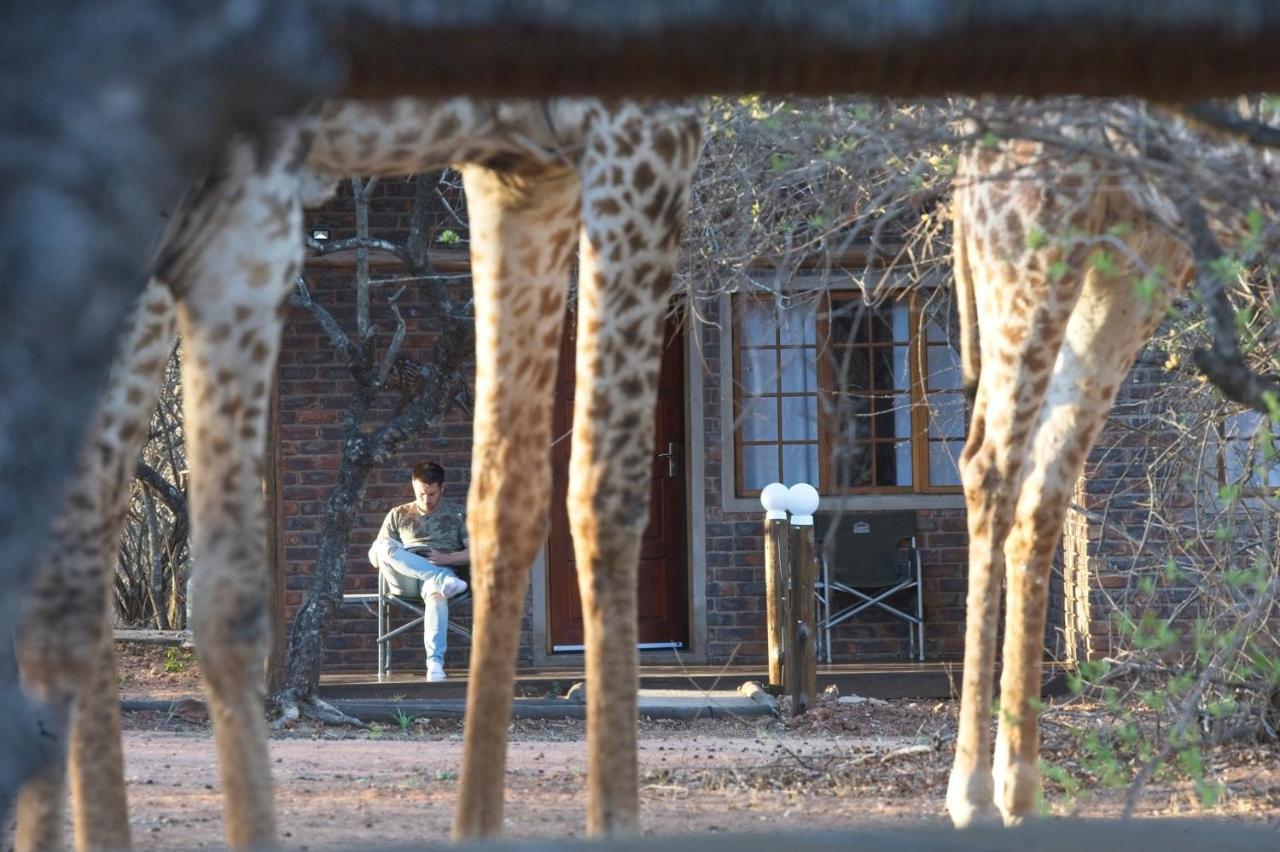 Tusk Bush Lodge Marloth Park Exterior photo